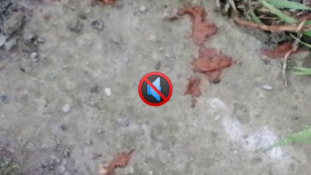 Какажка данила игромана