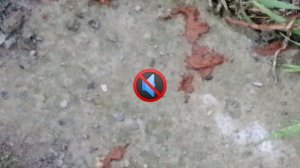 Какажка данила игромана