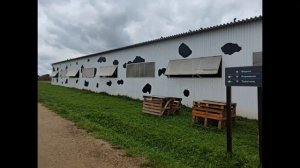 Сыроварня Сироты, 24 августа 2023 г.