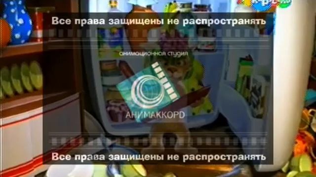 Zloy_medved_2016.avi