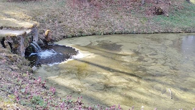 Водопад в парке, г. Павловск.mp4