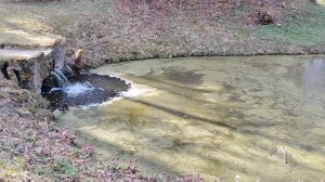 Водопад в парке, г. Павловск.mp4