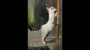 Картины с кошками под душевную песню