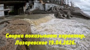 Свирка показывает характер! Лазаревское ,апрель 2026.