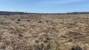 Поле у аэропорта