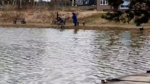 поимка форели