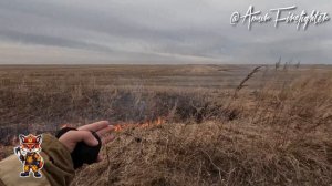 Критические дни у поджигателей.