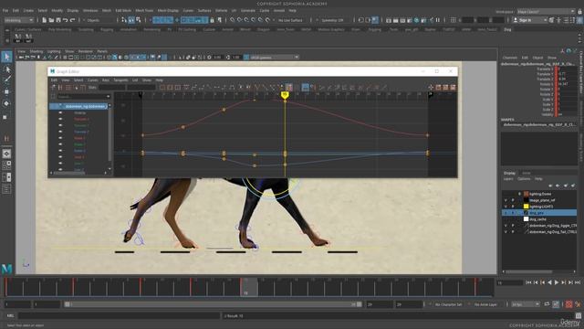 3. Blocking Out The Dog Walk Cycle