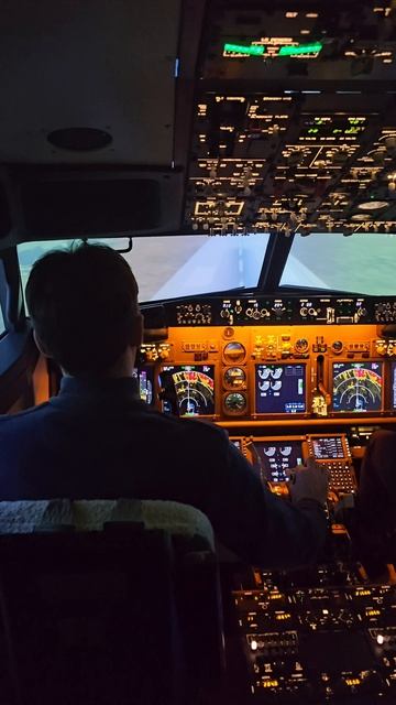 Boeing 737 тренажер 2025.03.02