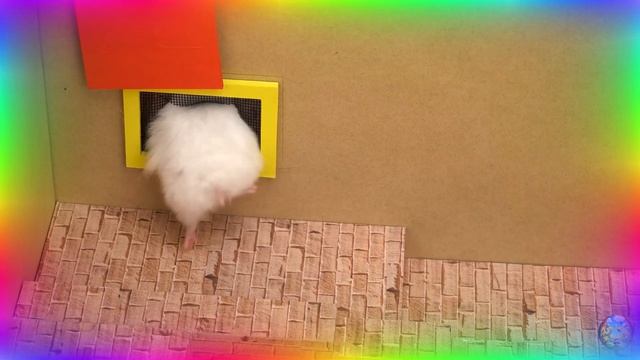 Хомяк в ловушке в невероятном лабиринте: каждый поворот - сюрприз! часть 4