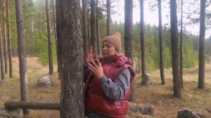 Техника заземления! Быть в моменте!  Прогулка по Уральскому лесу.