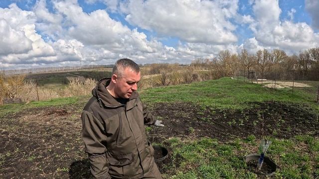 Новинка нашего сада! Подкормка для деревьев.