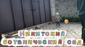 Никитский ботанический сад \ парки Крыма и цены \ где погулять в Крыму