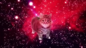 😱😯😲😮😱😱