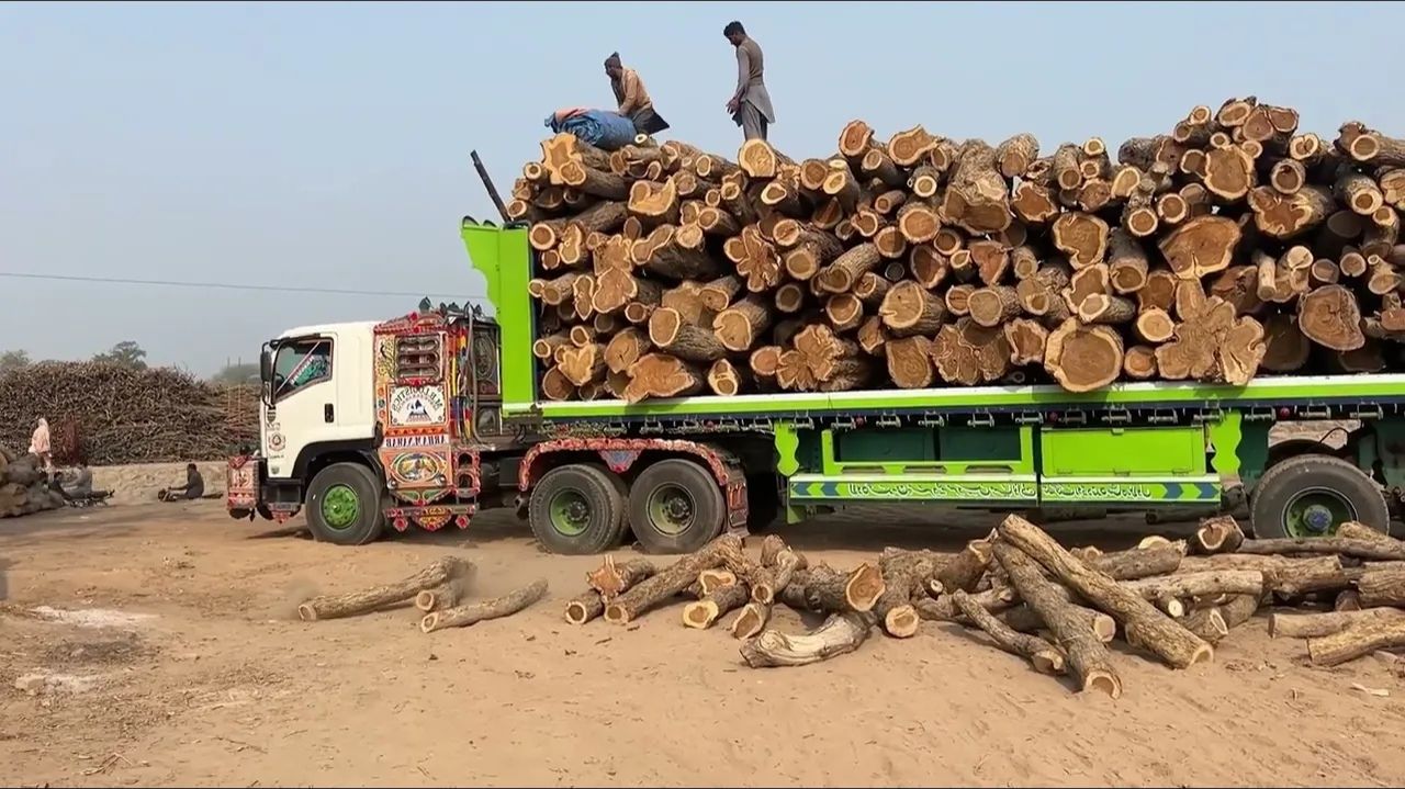 😱🥘 ПРОЦЕСС ИЗГОТОВЛЕНИЯ КОРОЛЕВСКОГО ХОТ-ПОТА