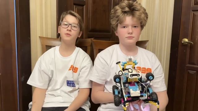 Коты на Песке