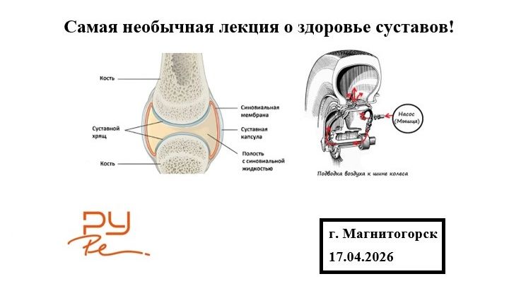 Самая необычная лекция о здоровье суставово. Киселёв А.В.