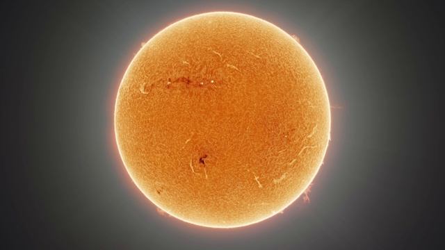 Притча о пчеле