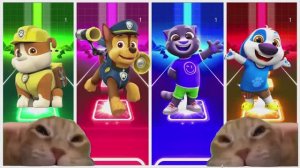 ЩЕНЯЧИЙ ПАТРУЛЬ против Говорящего Тома и Друзей — ГРАНДИОЗНАЯ БИТВА ГЕРОЕВ 🐾🐱💥