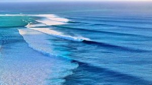 4k  Видео 🌿🌊🕊️