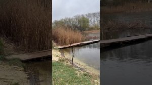 Разговоры о рыбалке и о судьбах