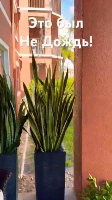 Это был не дождь в США !