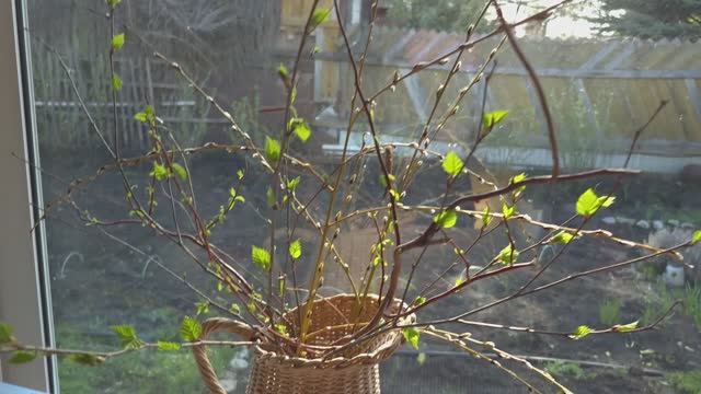 ДАЧА 2026. ТЕПЛИЦЕ БЫТЬ! ВЕСЕННИЕ РАБОТЫ ПО УЧАСТКУ. ВСЕХ СО СВЕТЛОЙ ПАСХОЙ!!!