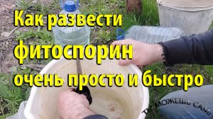 Как развести фитоспорин очень просто и быстро