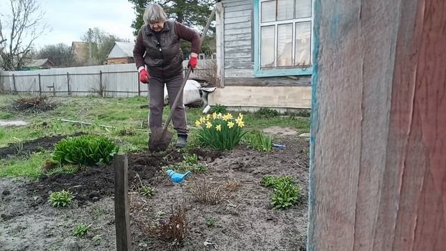 С телеком на даче!