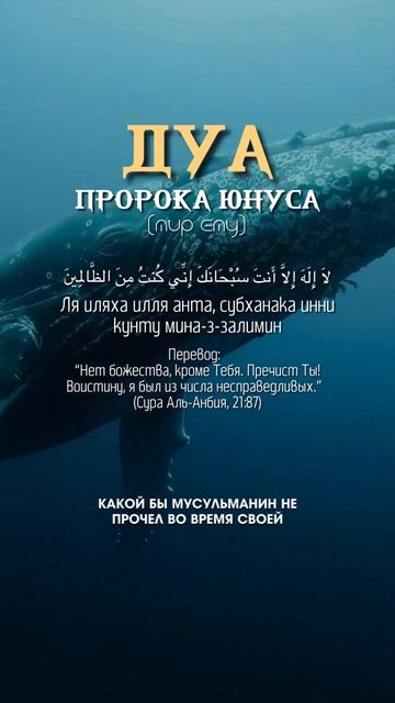 🕌 Дуа пророка Юнуса (мир ему)🤲  #хадис #дуа #коран #сура
