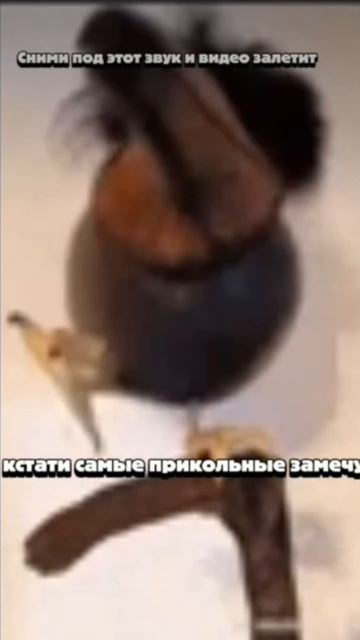 самые смешные замечу #snakeking #подпишись