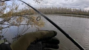 🔺️🎣ВОТ ОН🎣🔺️fishing#туризм#природа#ловля#рыбалка#щука#ловлящуки#ночевка#Чулым#река#спиннинг
