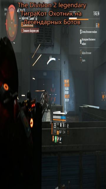 The Division 2 legendary ТиграКот #division2legendary #shorts