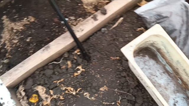 Сажаю огурцы в самодельные стаканчики, капусту в контейнеры, мои помощники котейки