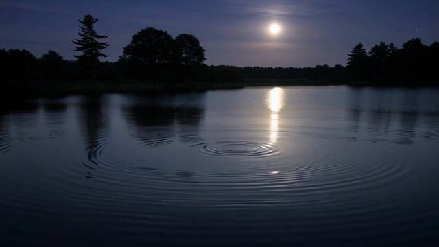 Лунная ночь у озера 🌙 звуки для сна и глубокого отдыха