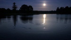 Лунная ночь у озера 🌙 звуки для сна и глубокого отдыха