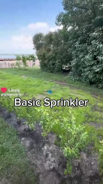 robloxgrowagardenshorts