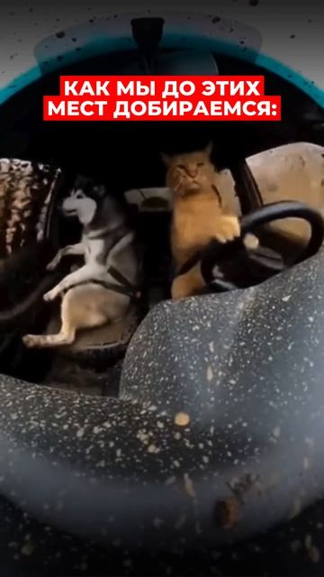 Когда дороги нет — это не проблема 😄