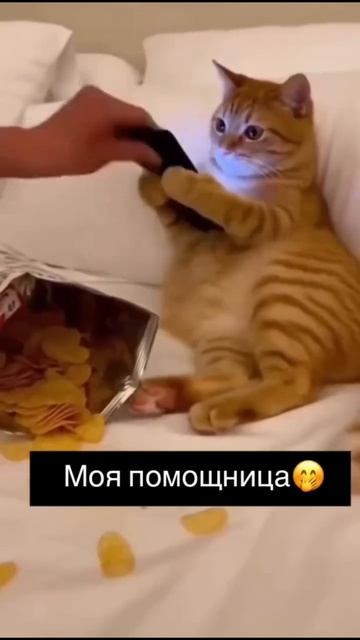 Моя помощница!