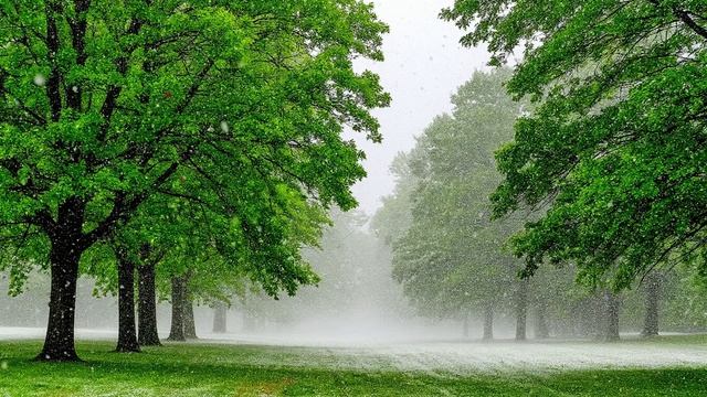 Друг друга в плен. Автор - Лев Леонтьев