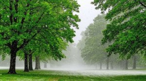 Друг друга в плен. Автор - Лев Леонтьев