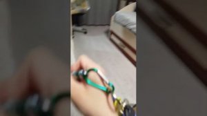 Играю с котом в лазер!