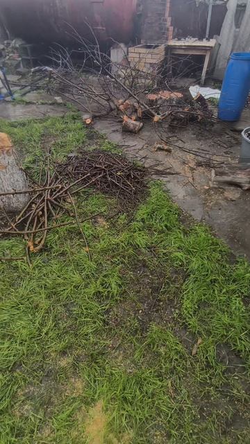 Когда все успеть я не знаю 😅 #полив #поливрастений #саратов #дача #саженцы