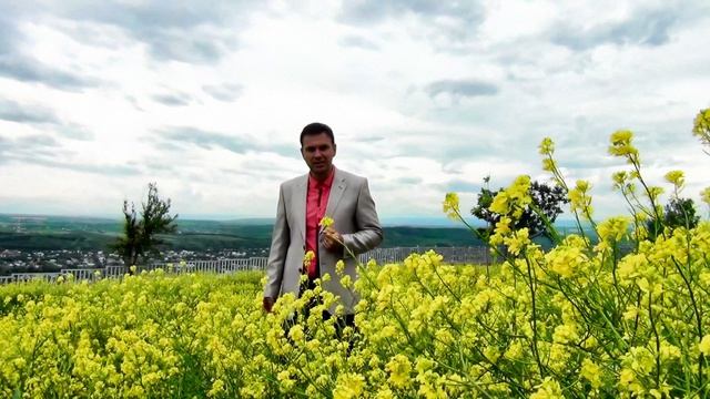 Владимир Волынкин-Моя Россия (Official Video) [HD Remastered]