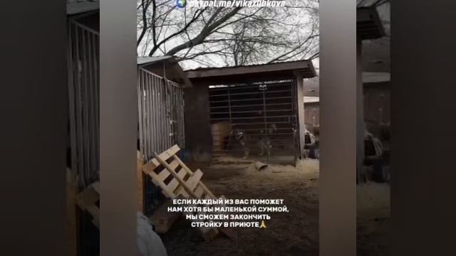 У них ничего нет, кроме веры в человека и надежды на вашу помощь. Люди, к Вам обращаются брошенные и