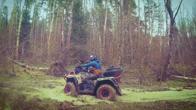 AODES 1000, 650 и Kayo AU200 (Валищево)