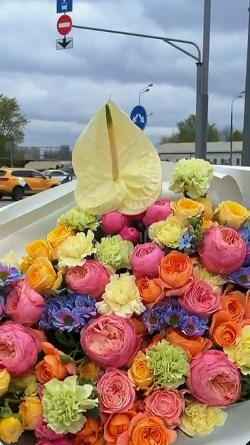 Дофаминовая радость.mp4