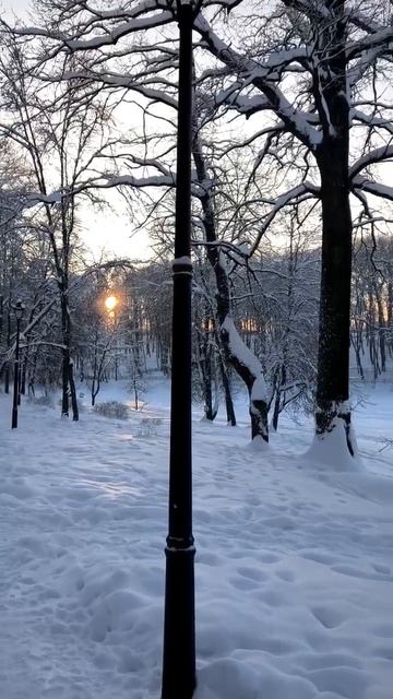 Зима в парке. 2026 г. 19