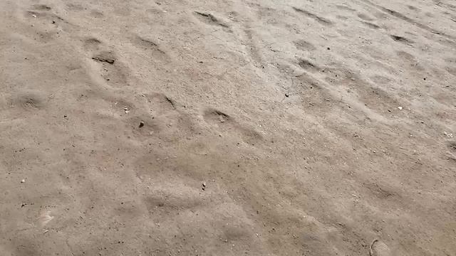 Никто не пристает, воскресенье 19 апреля