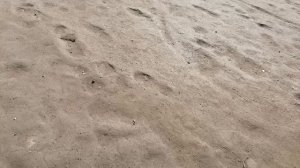 Никто не пристает, воскресенье 19 апреля